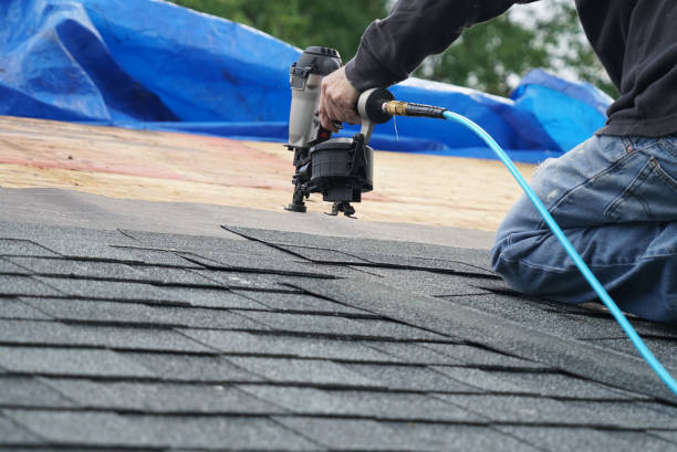 Roof Gutter Cleaning in Waynesboro, TN